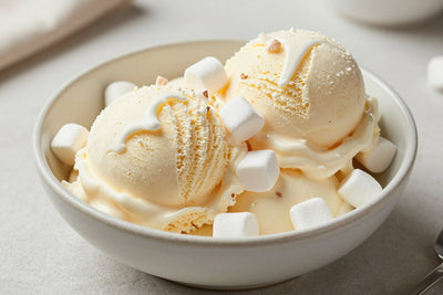 Two generous scoops of vanilla marshmallow ice cream in a shallow ceramic bowl, softly melting at the edges