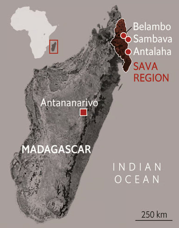Inside the SAVA Region: Heart of Vanilla Country | VanillaGoods