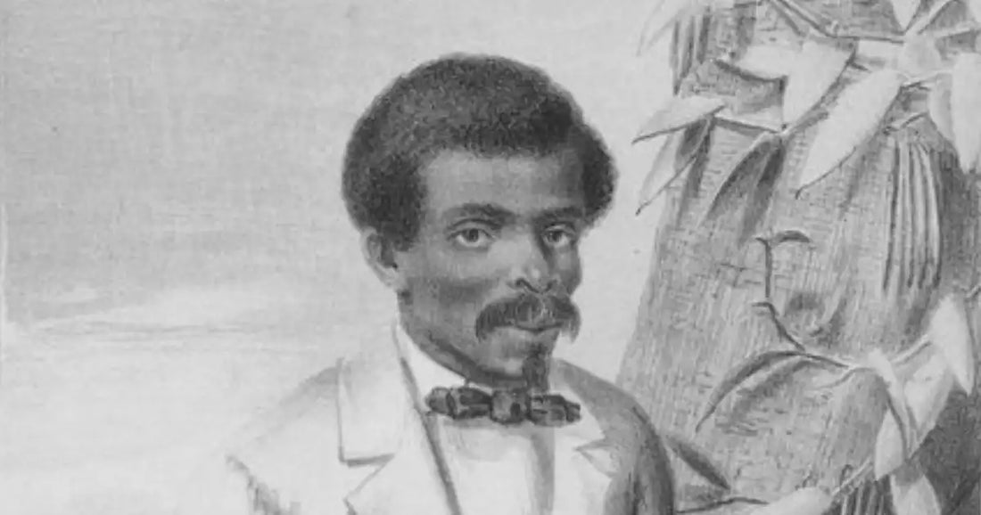 Edmond Albius: The Slave Who Made Vanilla Possible | VanillaGoods