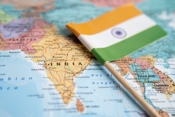 Indian Vanilla: A Quietly Growing Producer | VanillaGoods