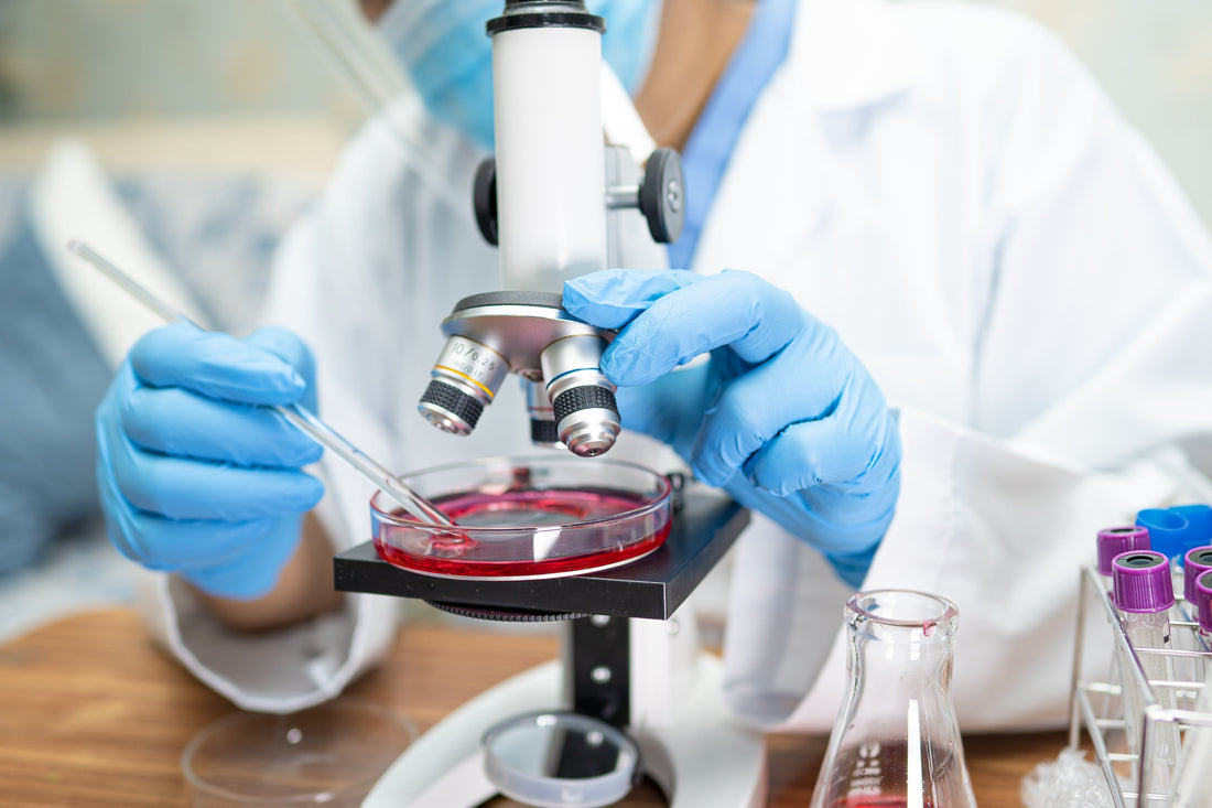Laboratory fermentation tanks producing biotech vanillin through engineered yeast, representing the future of synthetic