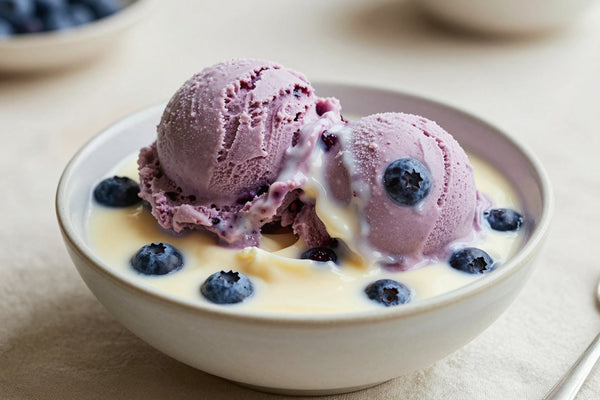 Two generous scoops of blueberry ice cream in a shallow ceramic bowl, softly melting at the edges