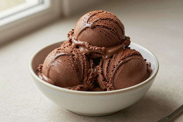 Two generous scoops of chocolate fudge ice cream in a shallow ceramic bowl, softly melting at the edges