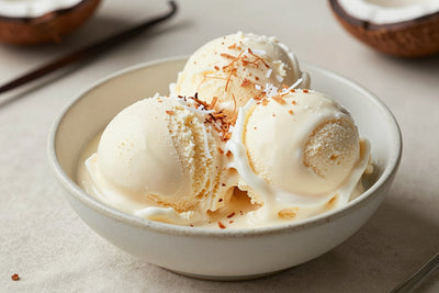 Two generous scoops of coconut ice cream in a shallow ceramic bowl, softly melting at the edges