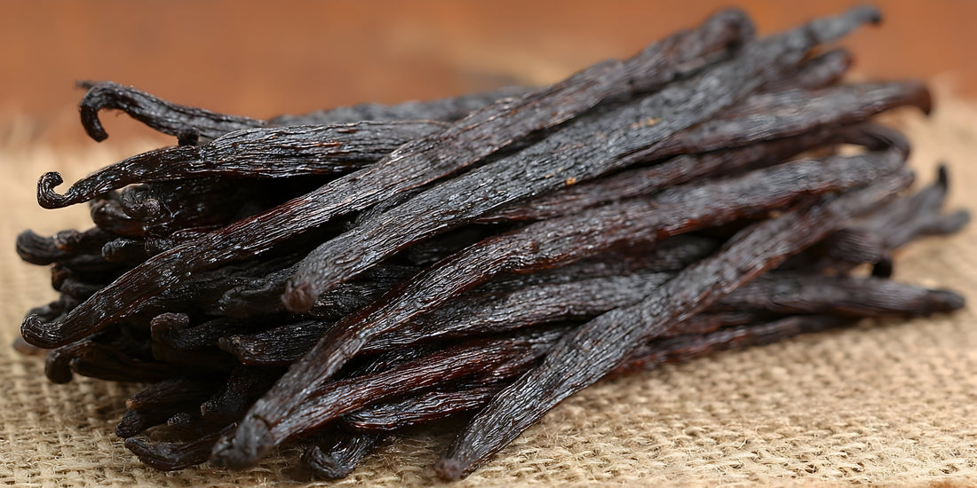 Grade A and Grade B vanilla beans side by side showing differences in moisture, appearance, and flexibility