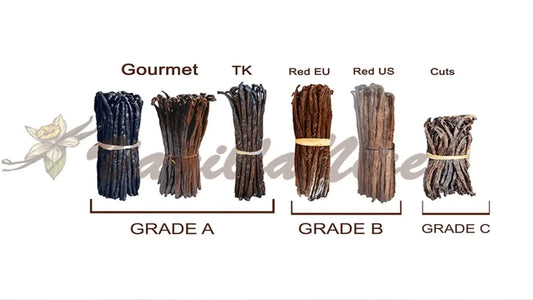 Grade A and Grade B vanilla beans side by side showing moisture and texture differences for grading comparison