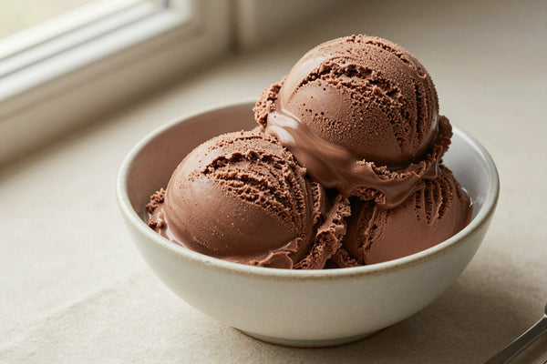 Two generous scoops of milk chocolate ice cream in a shallow ceramic bowl, softly melting at the edges