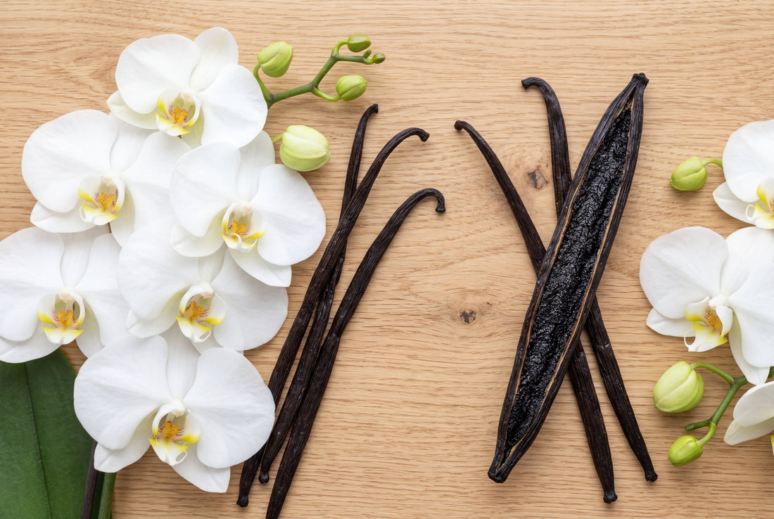 Whole vanilla beans and vanilla pods side by side showing they are identical cured vanilla orchid fruits