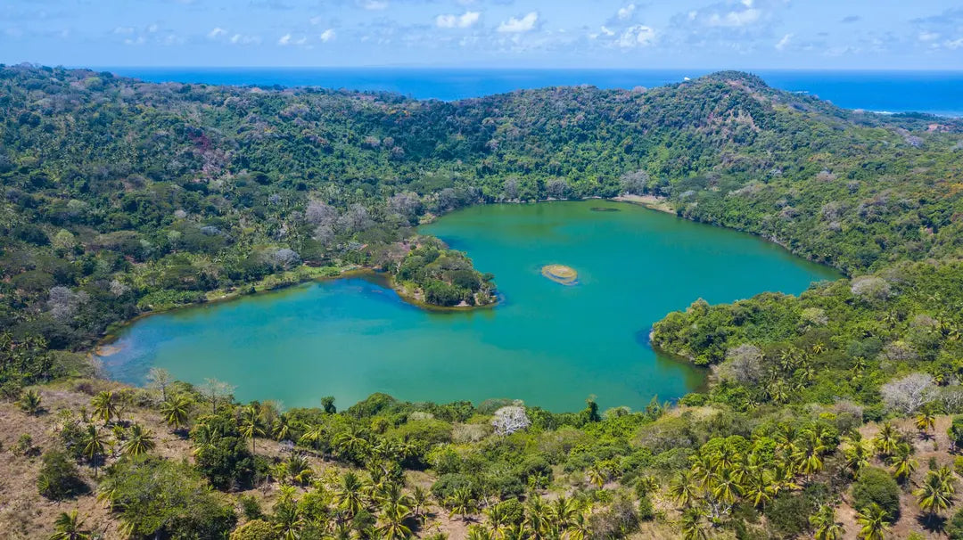 Comoros and Réunion Vanilla: The Bourbon Islands | VanillaGoods