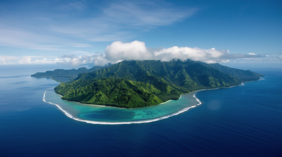 Tahitian Vanilla: A Different Species, Explained | VanillaGoods