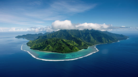 Tahitian Vanilla: A Different Species, Explained | VanillaGoods