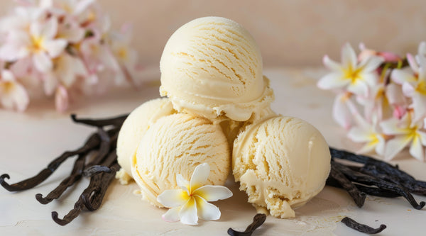 Homemade Vanilla Bean Ice Cream: The Definitive Recipe | VanillaGoods