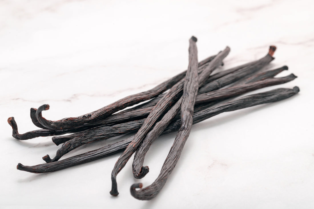 Vanilla Bean Storage: Reviving Dry Beans, Preventing Mold | VanillaGoods