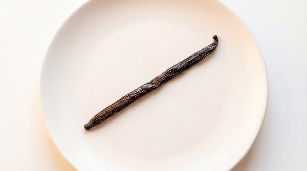 Single-Bean vs Blended Vanilla Extract Guide | VanillaGoods