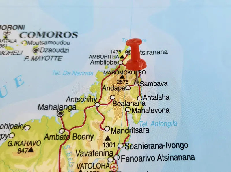 Madagascar SAVA Region: World's Vanilla Capital | VanillaGoods