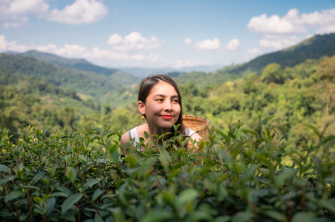Women in Vanilla Farming: The Hidden Workforce | VanillaGoods