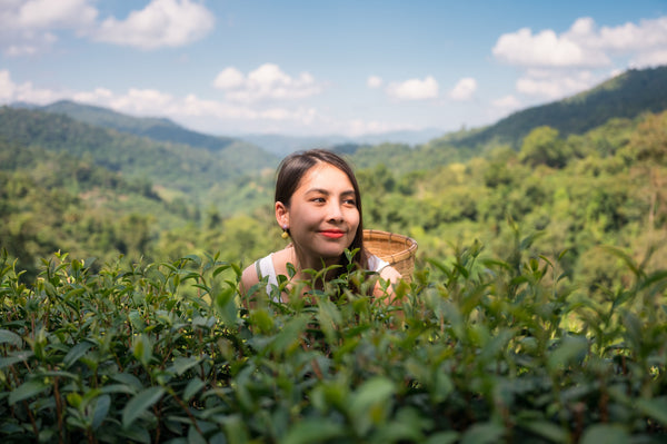 Women in Vanilla Farming: The Hidden Workforce | VanillaGoods