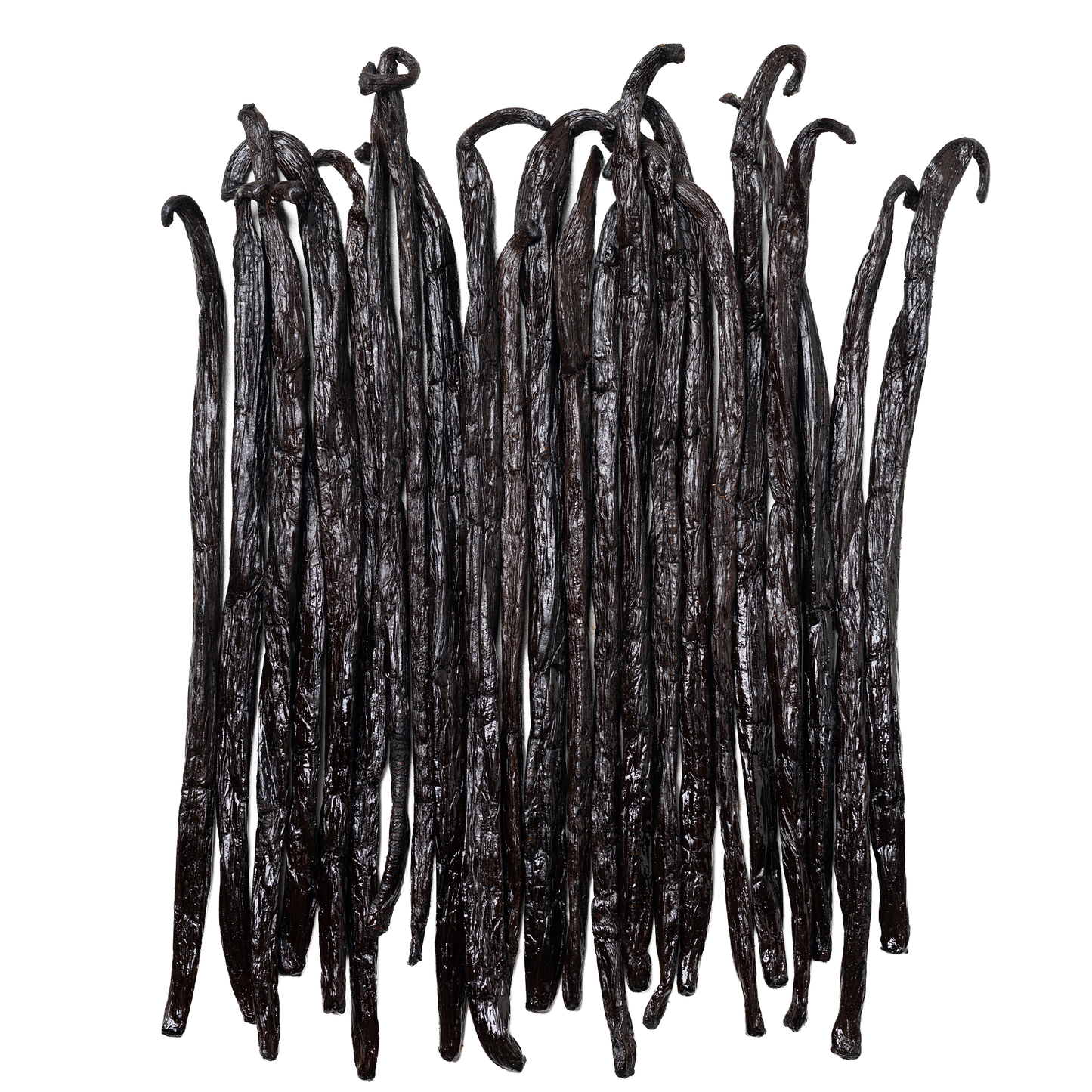 A cluster of long, dark vanilla beans with textured, wrinkled skins, arranged vertically against a plain white background.