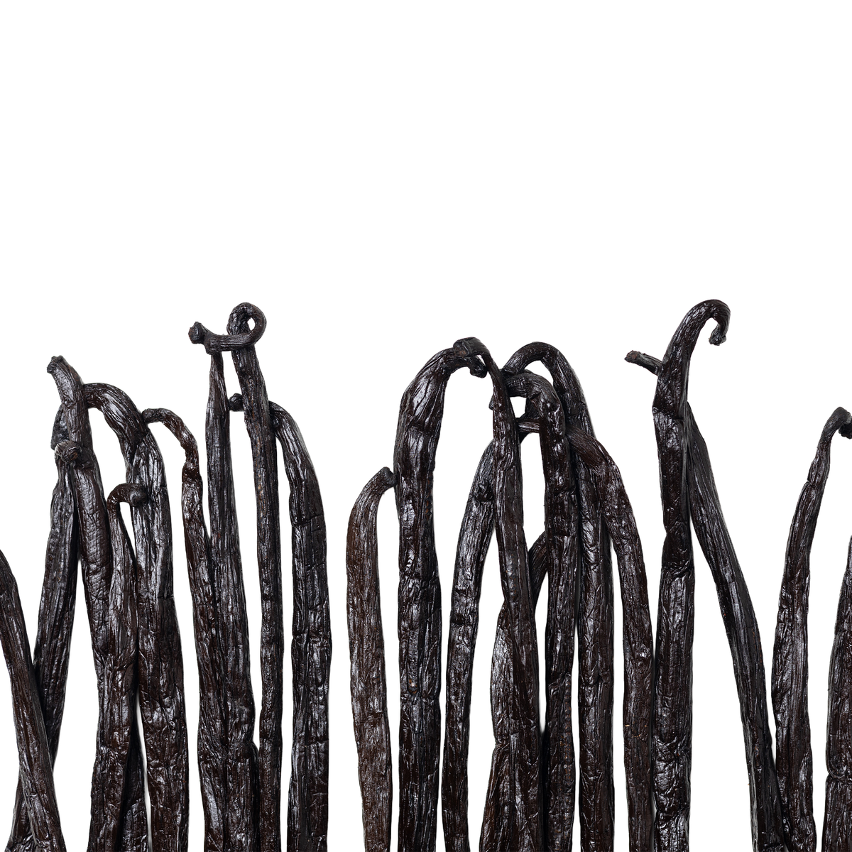 A close-up of several dark, wrinkled vanilla bean pods standing upright against a plain white background.