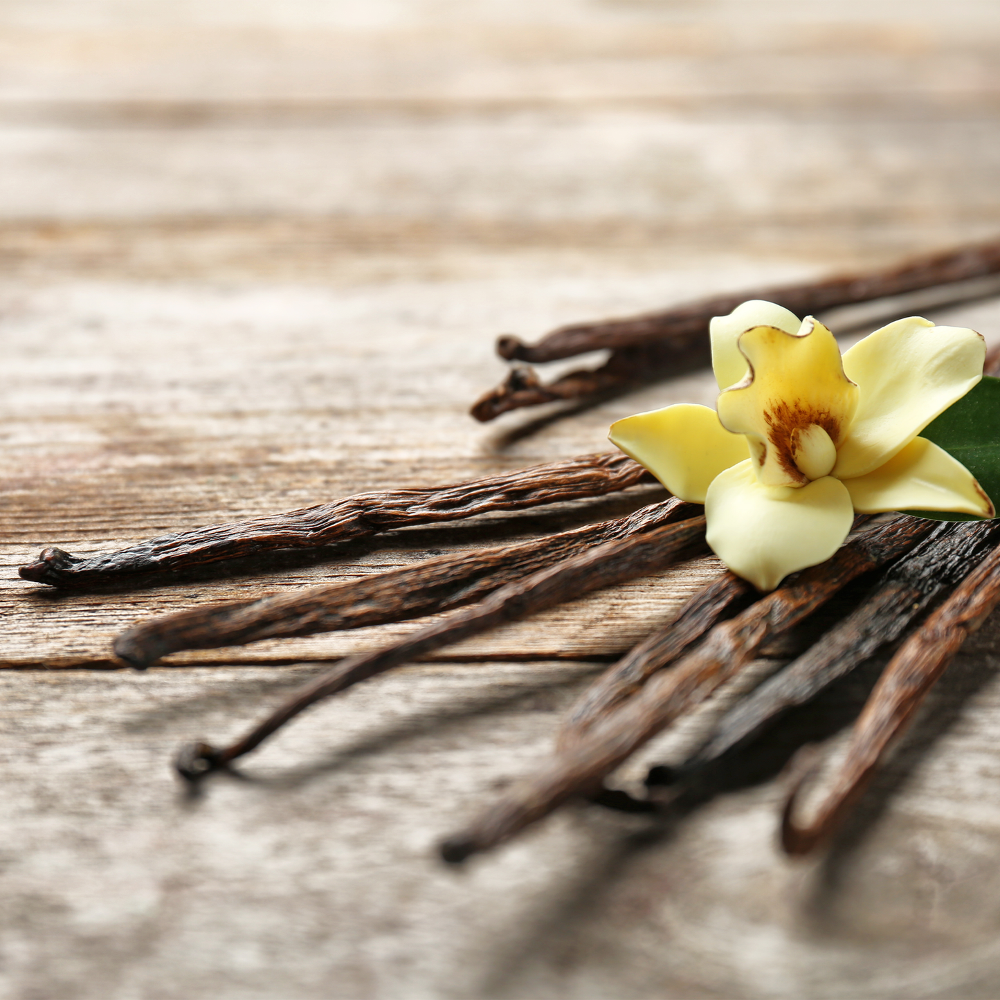 Tahitian Vanilla Beans, Grade B, 5 Beans