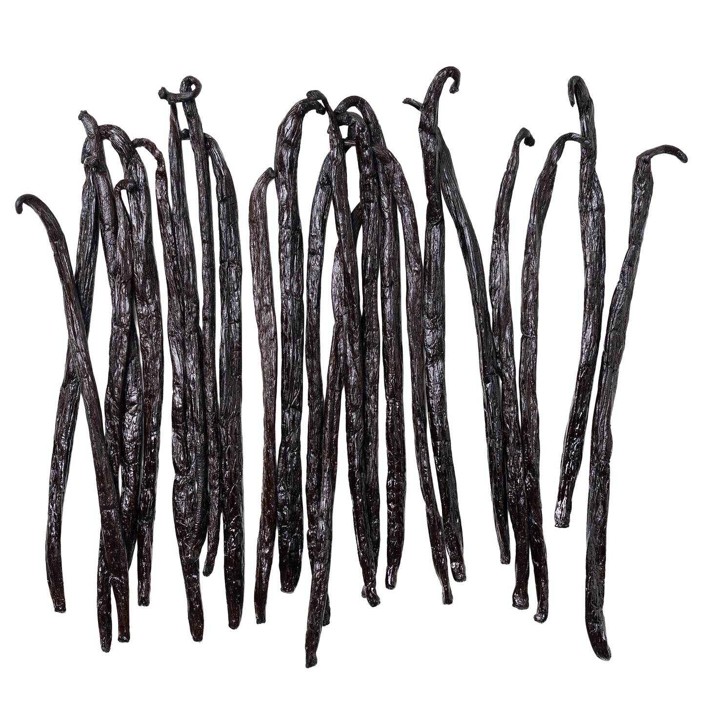 A group of long, slender dark Grade A Uganda vanilla beans arranged upright against a plain white background.