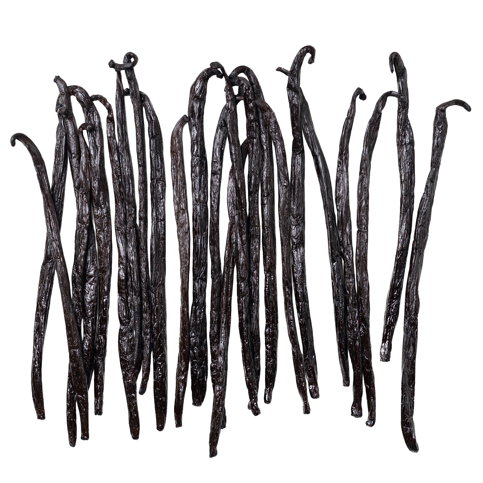 A group of long, slender dark Grade A Uganda vanilla beans arranged upright against a plain white background.