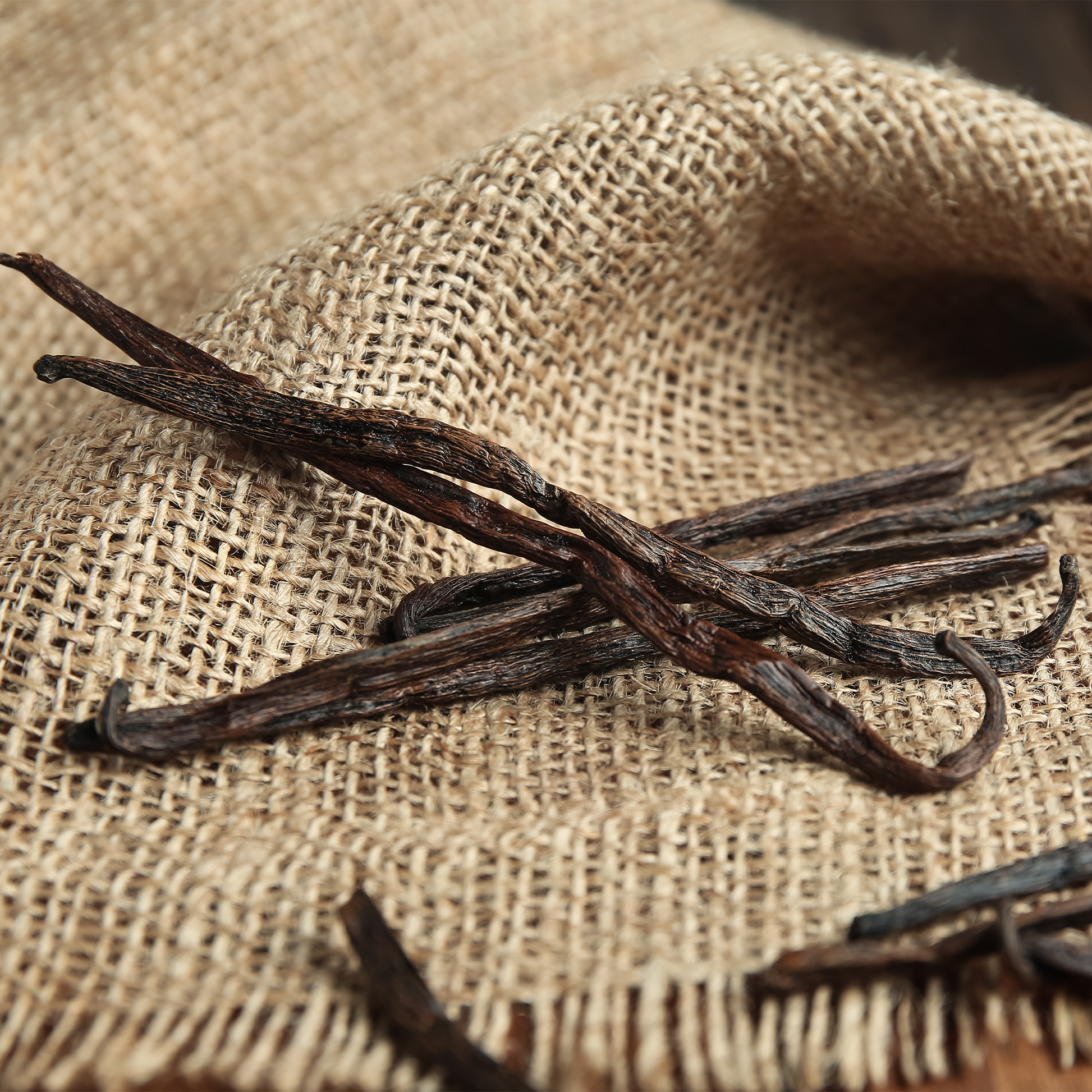 Dark brown vanilla beans resting on a textured beige burlap fabric background.