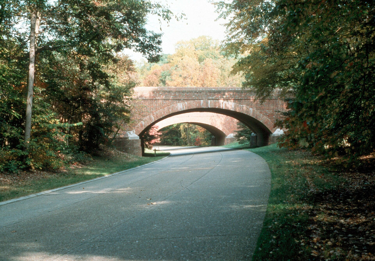 Colonial Parkway: Tree Lined Parkway