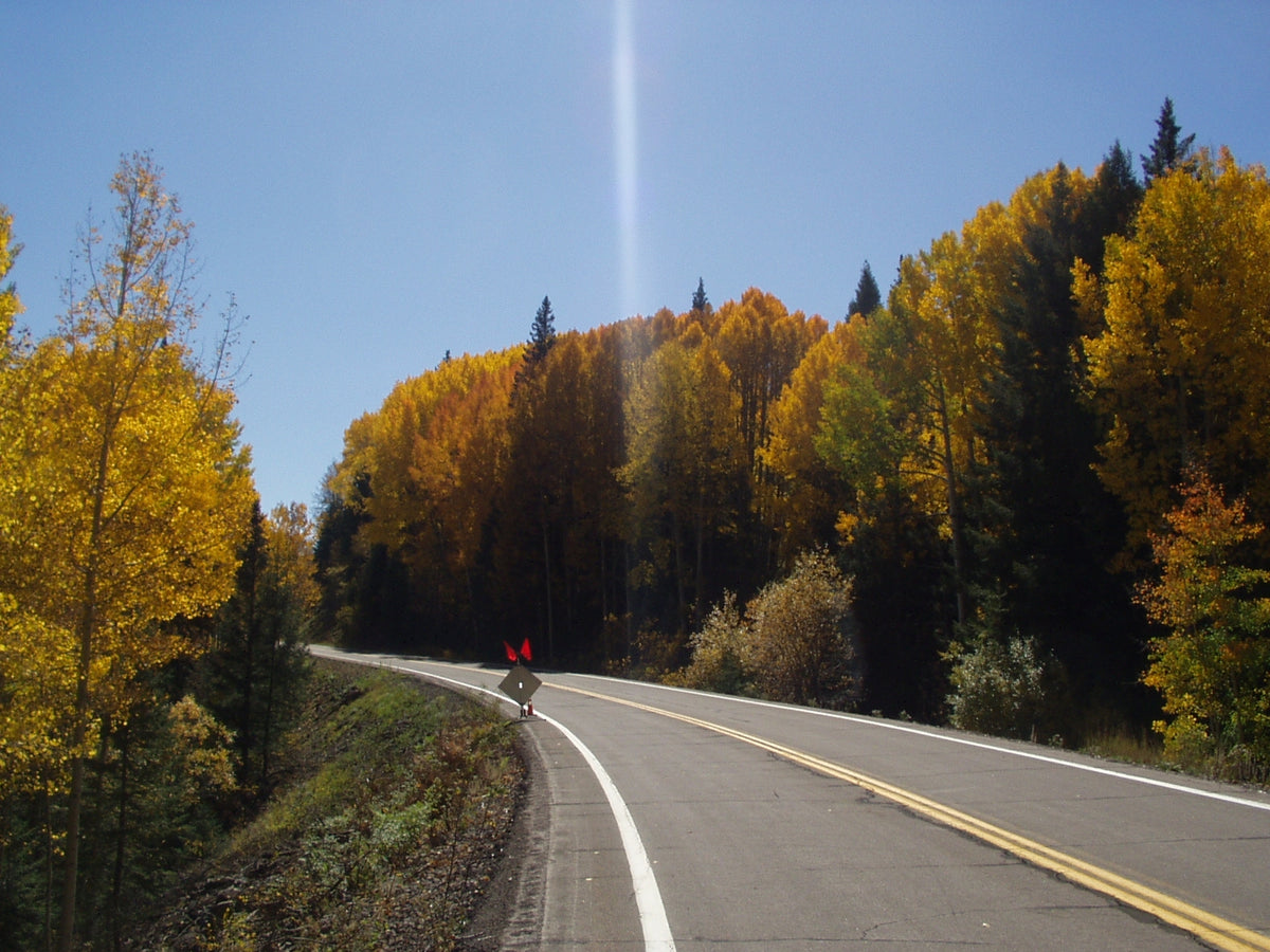 Coronado Trail Scenic Byway: Autumn Colors along the Trail