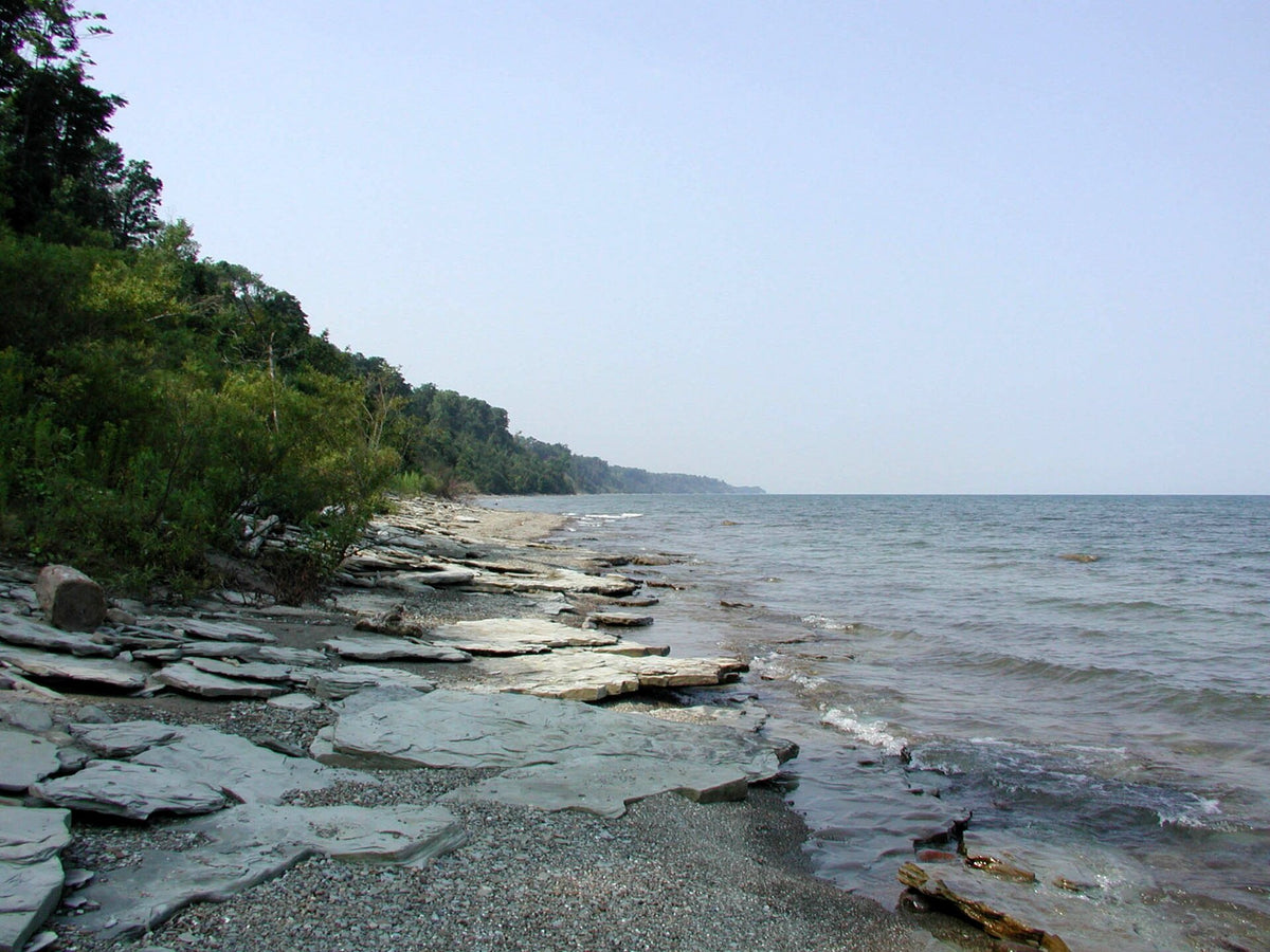 Great Lakes Seaway Trail: Erie Bluffs Shoreline
