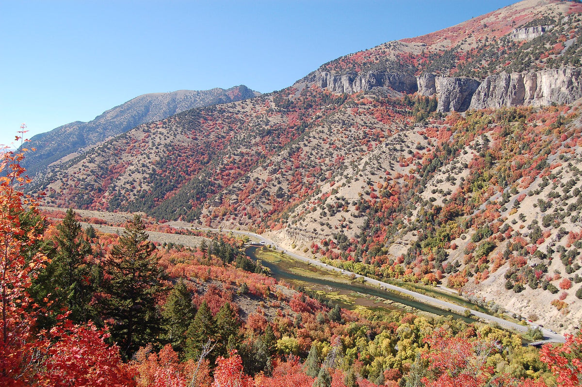 Logan Canyon Scenic Byway: Logan River in Autumn