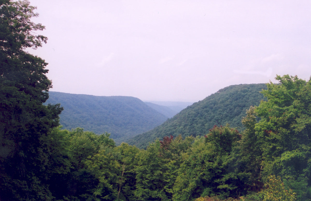 Midland Trail: Overlook View