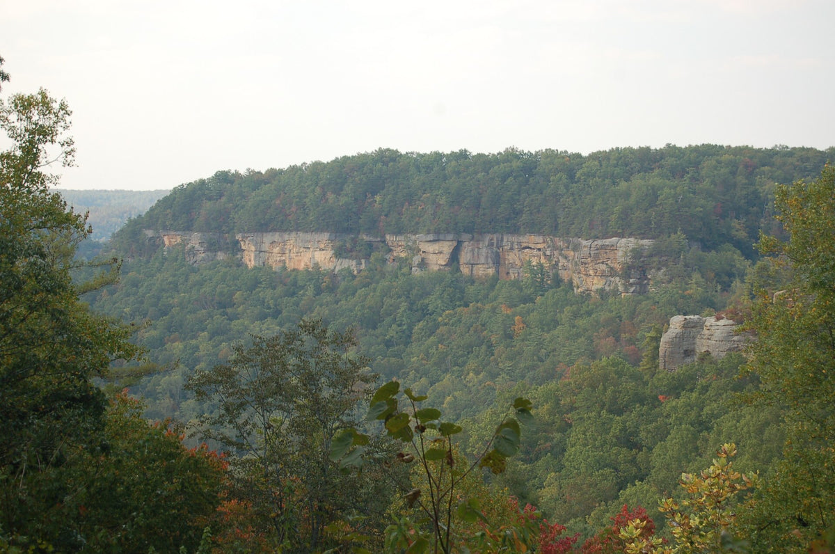 Red River Gorge Scenic Byway: View from Geological Overlook