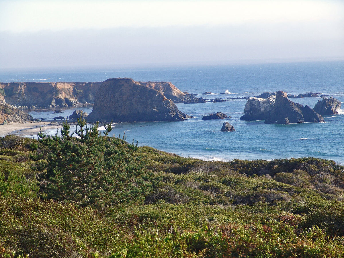 San Luis Obispo North Coast Byway: San Luis Obispo North Coast Byway - Stunning Ocean View in Los Padres National Forest